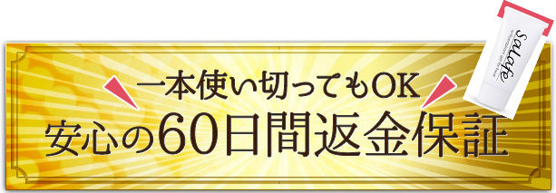 �T���t�F,���R�~